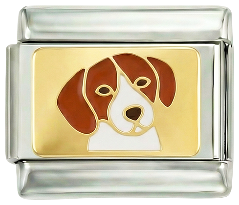 Dog, Brown and White, on silver - dog-brown-and-white-on-silver.png