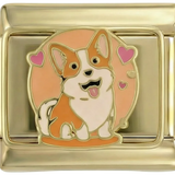 Corgi aranyon